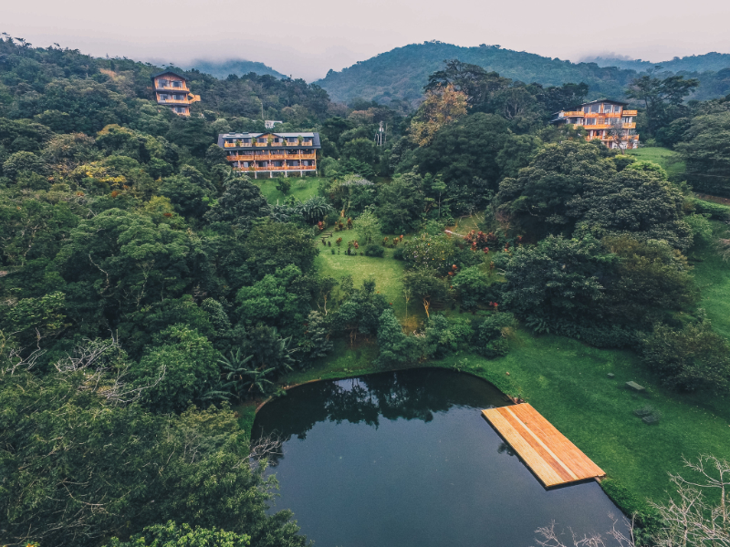 Un hotel en medio de la selva