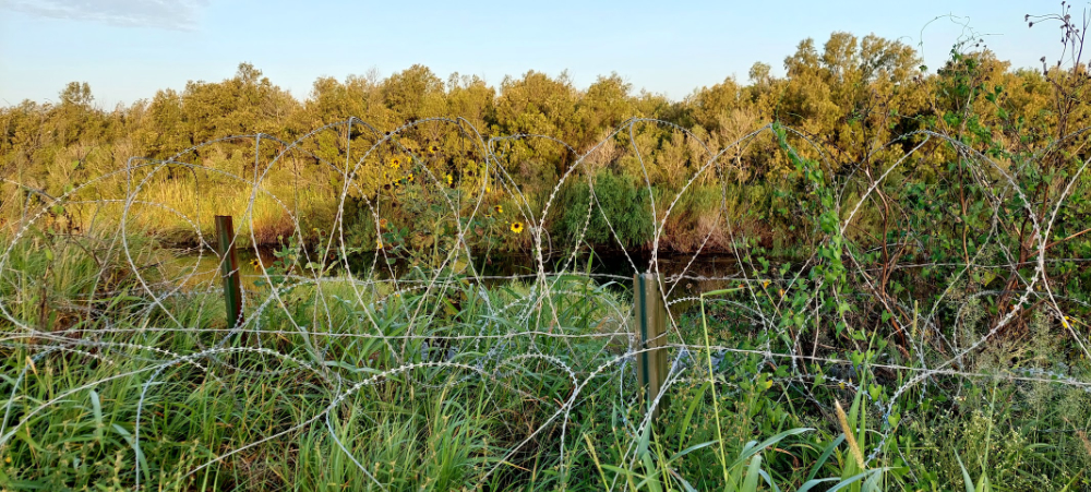 20240719_072353 a barbed wire fence in a field