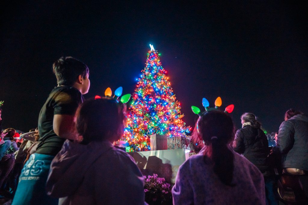 Tree Lighting Ceremony at CVSPF 2023