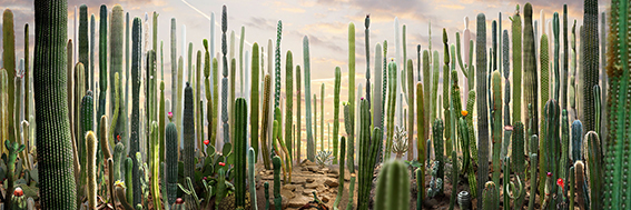 Ruud van Empel Theatre 8 for web 72 dpi
