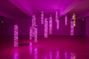 Arte, memoria y desplazamiento: Mirae kh RHEE expone en el MOPA@SDMA de San Diego