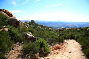 San Diego cierra cinco parques por el calor extremo de agosto