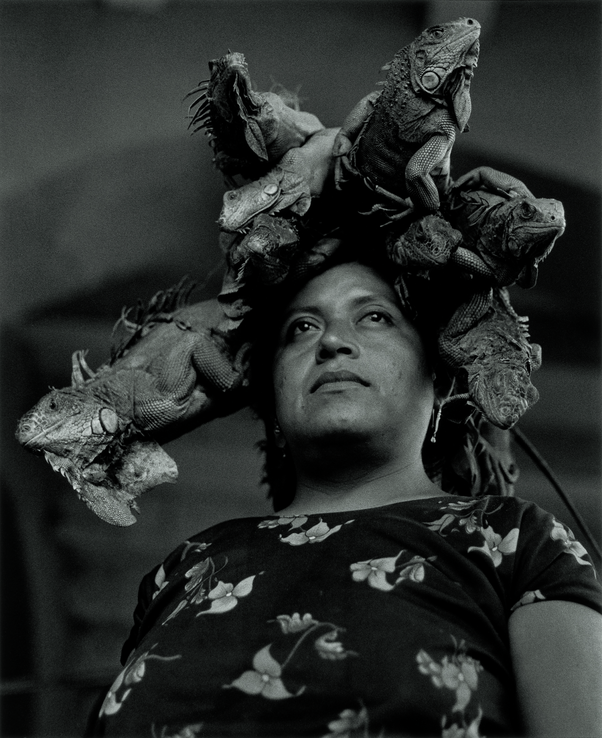 mujer con iguanas en la cabeza