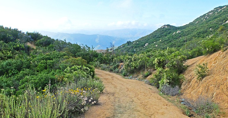 sendero en El Capitán